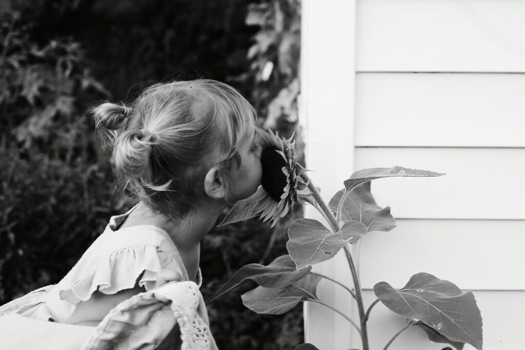 backyard black and white portrait of a young blonde girl in a sundress with pigtail buns on her head smelling a sunflower outside of her white sided home -bisoux de lune meagan reily